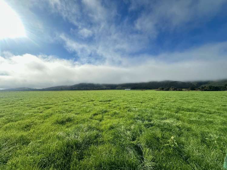 2434 State Highway 65 Maruia_23