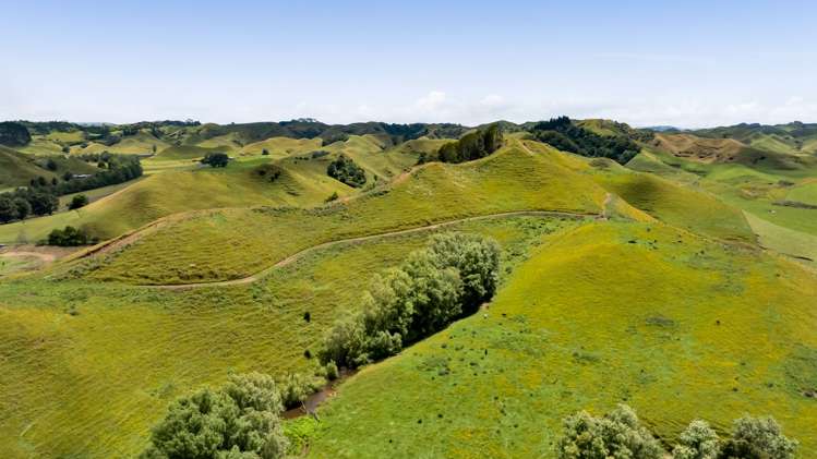 162 Standish Road Toko_16