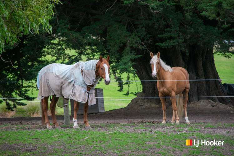 16 Woodside Road Outram_20