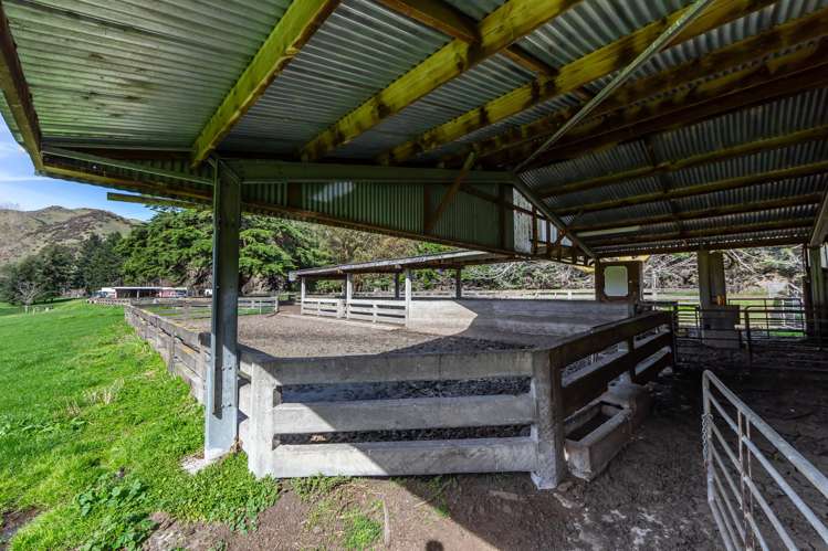 773 Cat Hill Road Cheviot_16