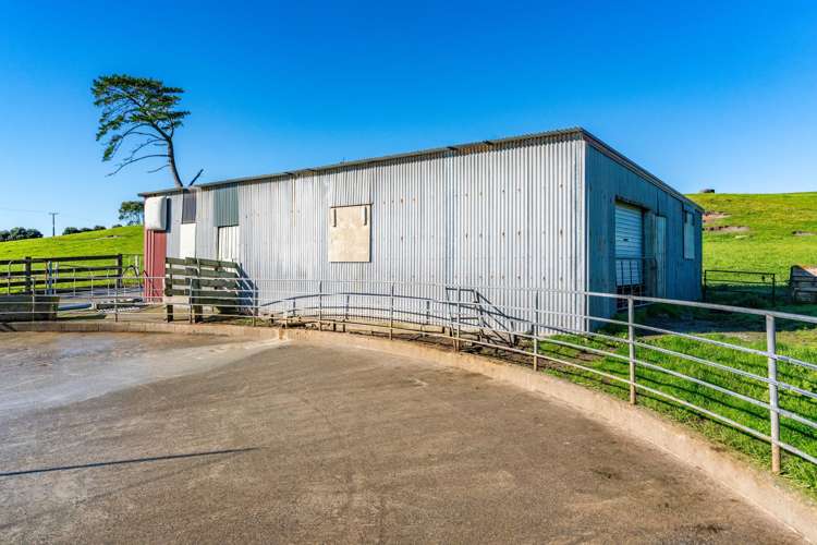 454 West Coast Road Te Kopuru_13