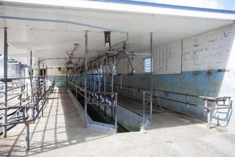 244 Whawharua Road Otorohanga_14