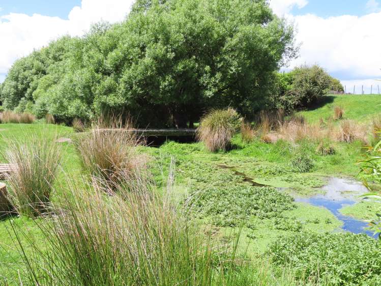 34 Short Road Pahiatua_17