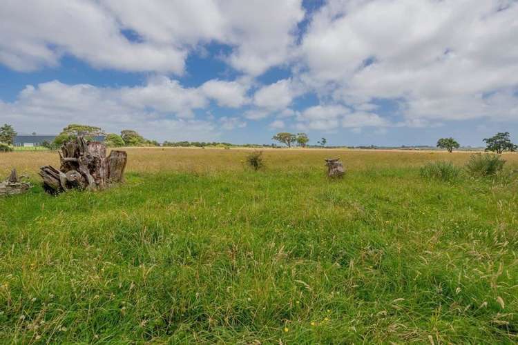 12 Kilsby Place Levin_30