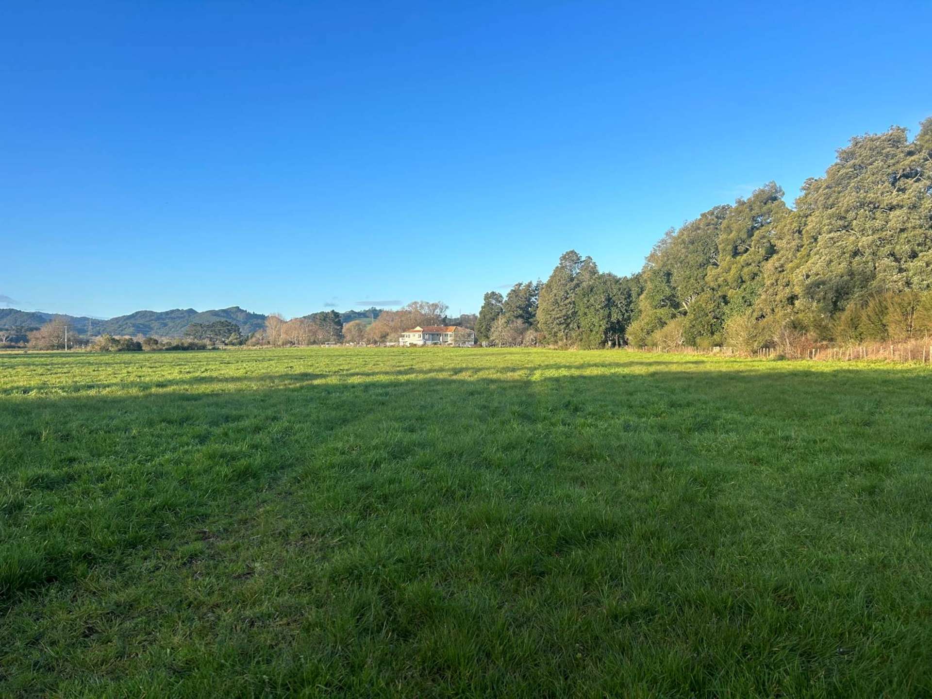 79 McKenzie Road Mangatawhiri_0