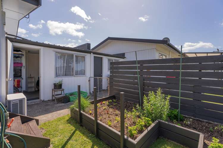 4 Diamond Drive Tairua_13