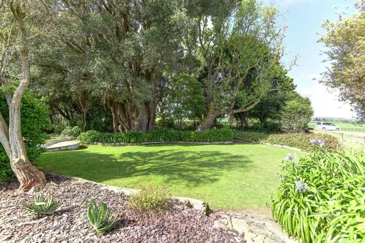 327 Bushy Park Road Kai Iwi_36