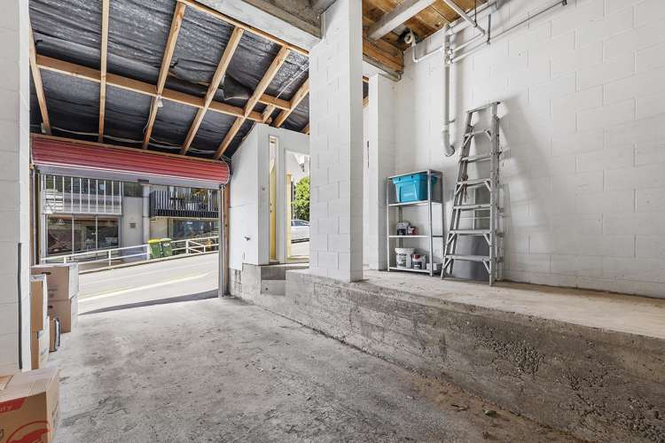 4a Macdonald Crescent Te Aro_24