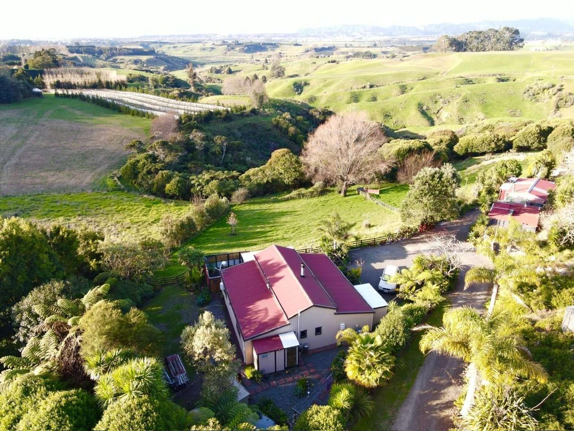 281 McCarthy Road Opotiki_0