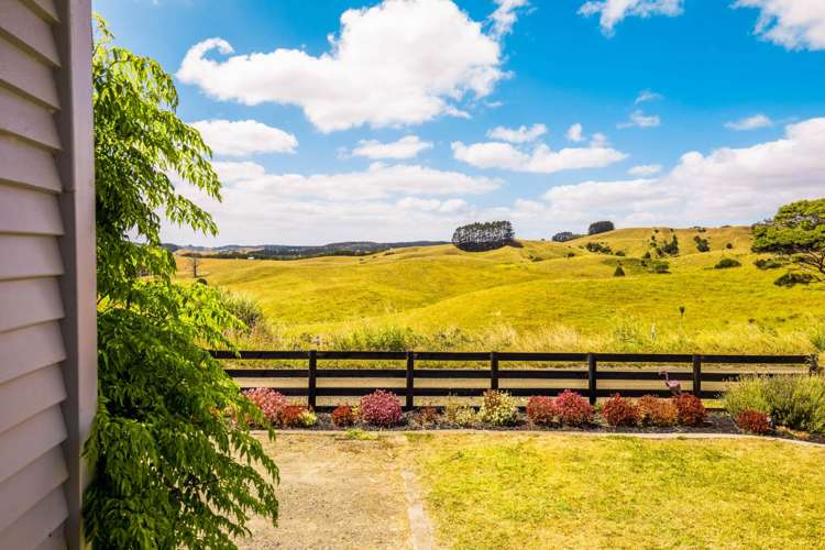 290 Shanks Road Helensville_13