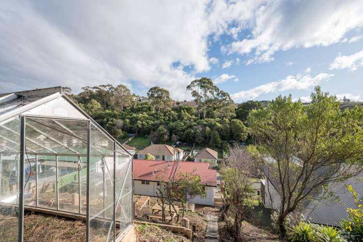 43 Murphy Street Toi Toi_16