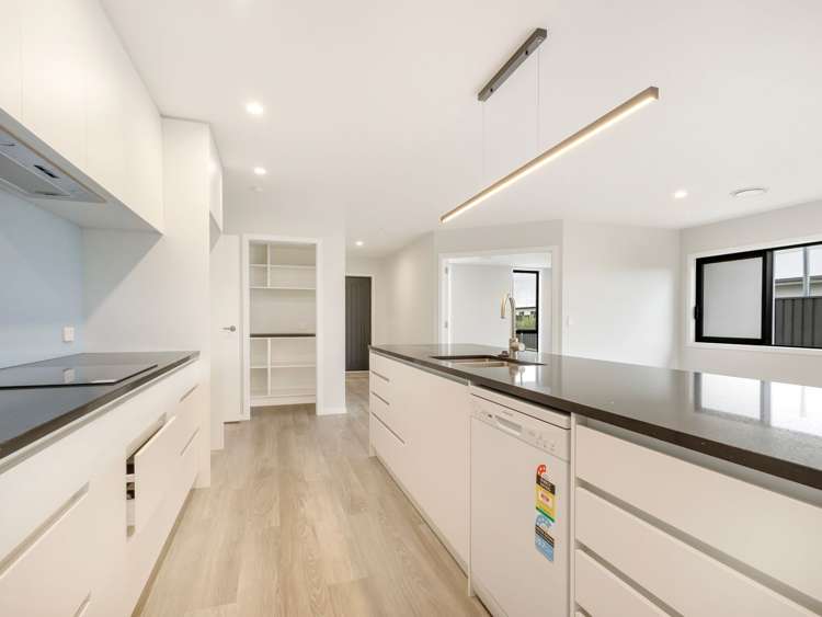 61 Pelorus Ave Poraiti_2