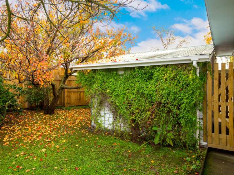 150a Muller Road Blenheim Central_11