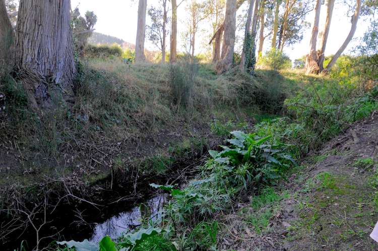 249 Pukeuri-Oamaru Road Pukeuri_22