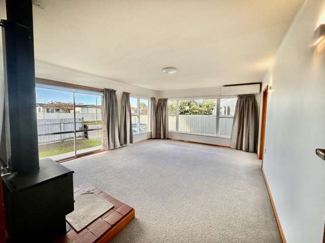 39 Plunket Street Tamatea_4