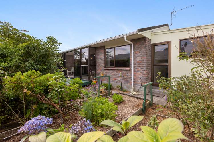 256 Tukapa Street Hurdon_20
