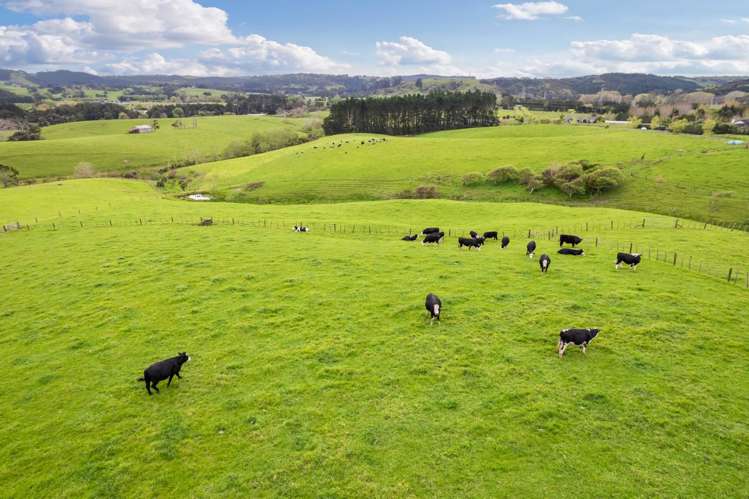 915 Old North Road Waimauku_25