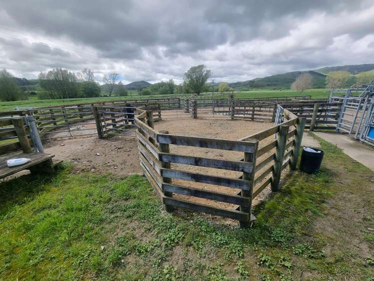 126 Tauraroa Valley Road Otorohanga_21