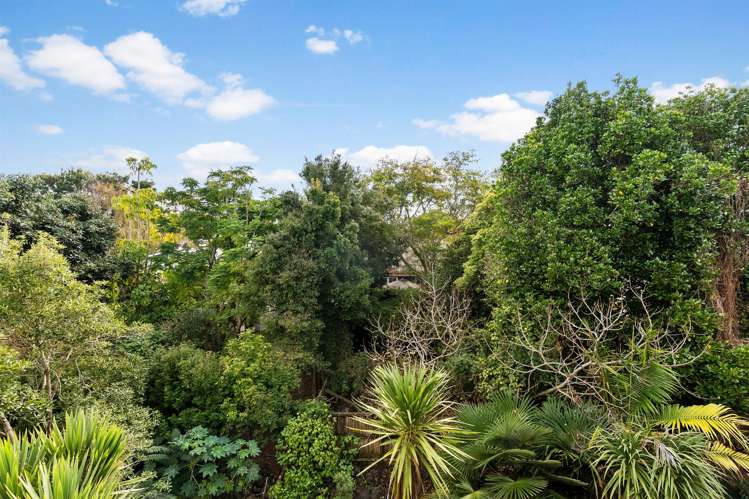 38/18 Edenvale Crescent Mount Eden_12