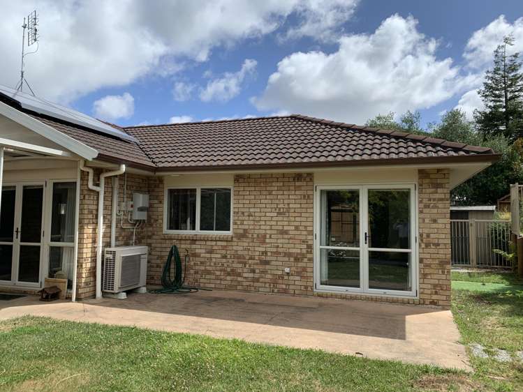 30 Nelson Street Howick_3