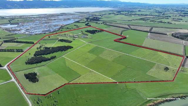 1807 Kahutara Road Kahutara_1