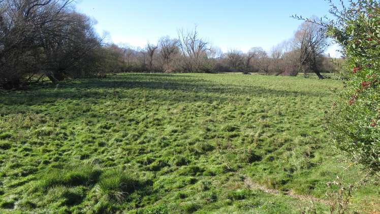 66 Denmark Street Fairlie_22