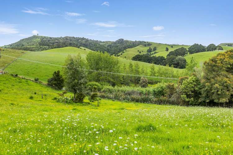 418 Martin Road Kaeo_28