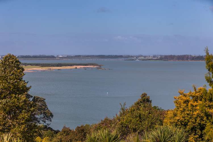 2 Saran Place Hillsborough_18