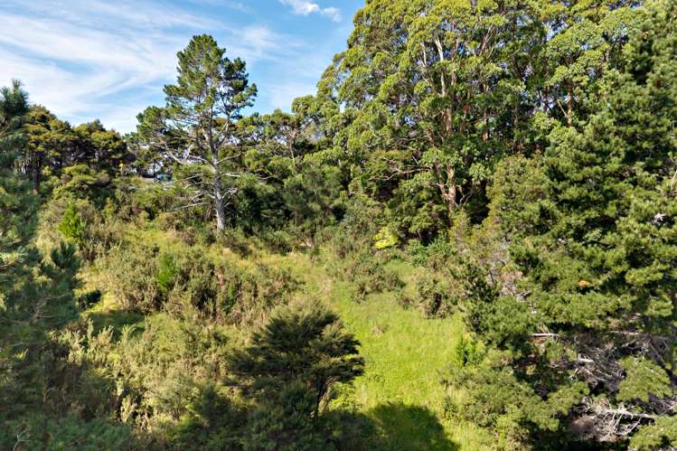 248 Albany Heights Road_4