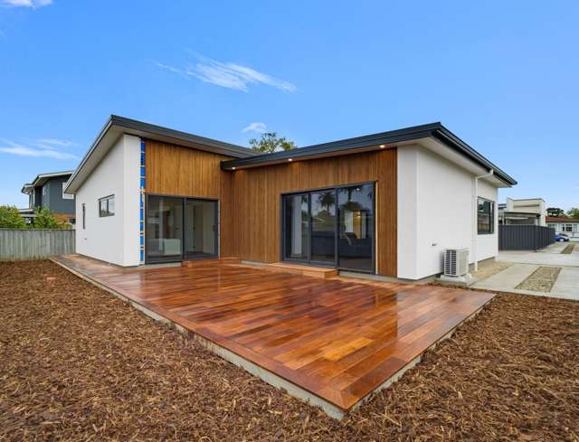 42a Higgins Street Marewa_2