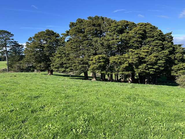 678 Waiuku Road Mauku_1