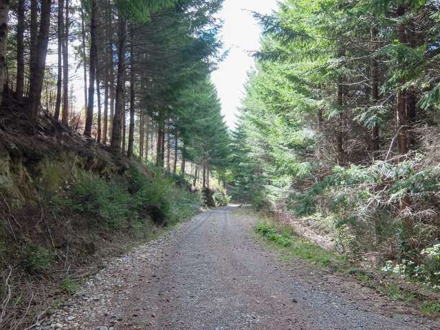 State Highway 63 Wairau Valley_1