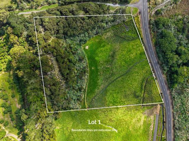 Lot 1/3233 State Highway 1 Pukenui_1