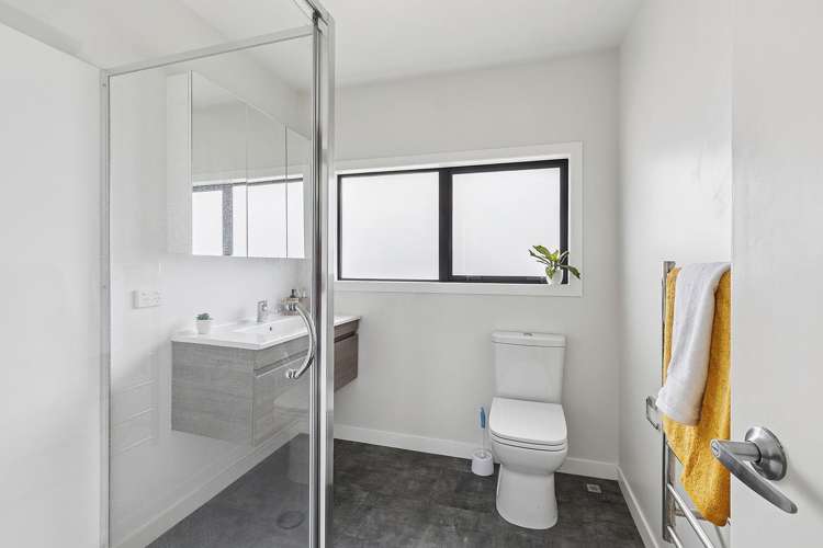 103B Hobart Street Miramar_18