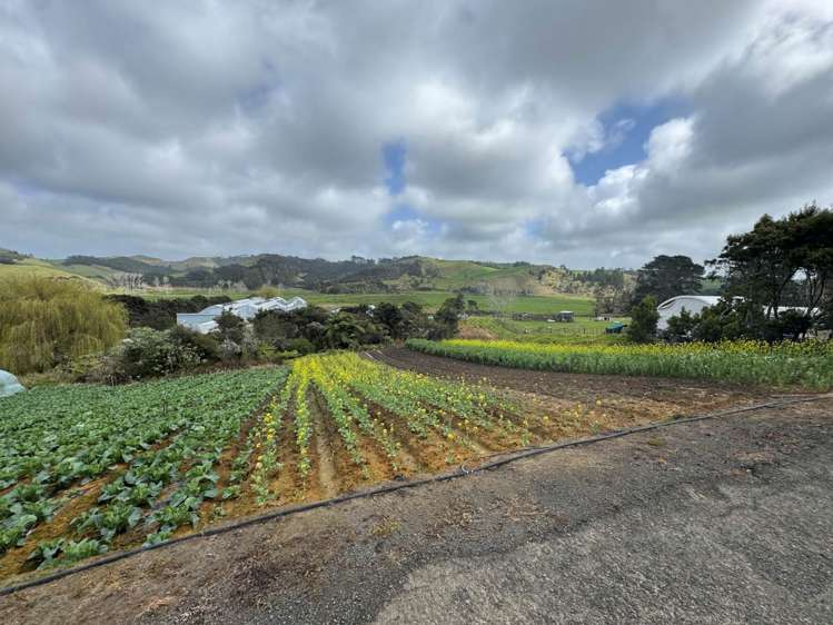 1755 South Head Road South Head_8