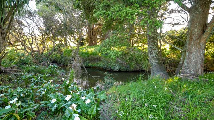 59 Bagnal Road Mangawhai_7