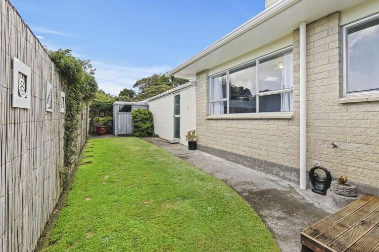 5 Norman Street Lower Vogeltown_27