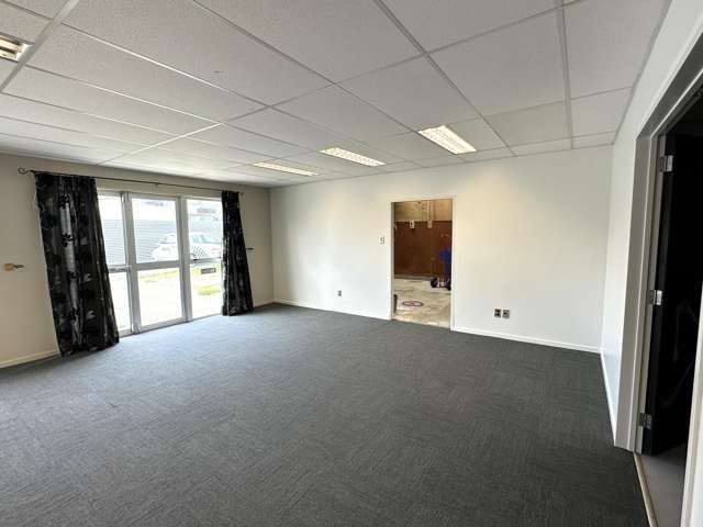 66 Wakefield Street Onekawa_2