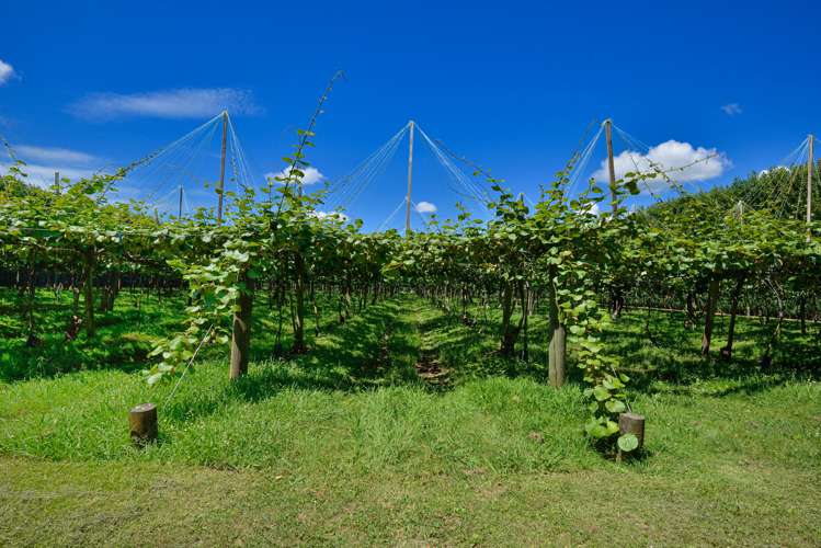 104 College Road Hexton_5