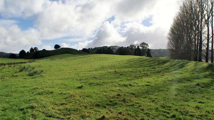 4501 State Highway 4 Waimiha-Ongarue_24