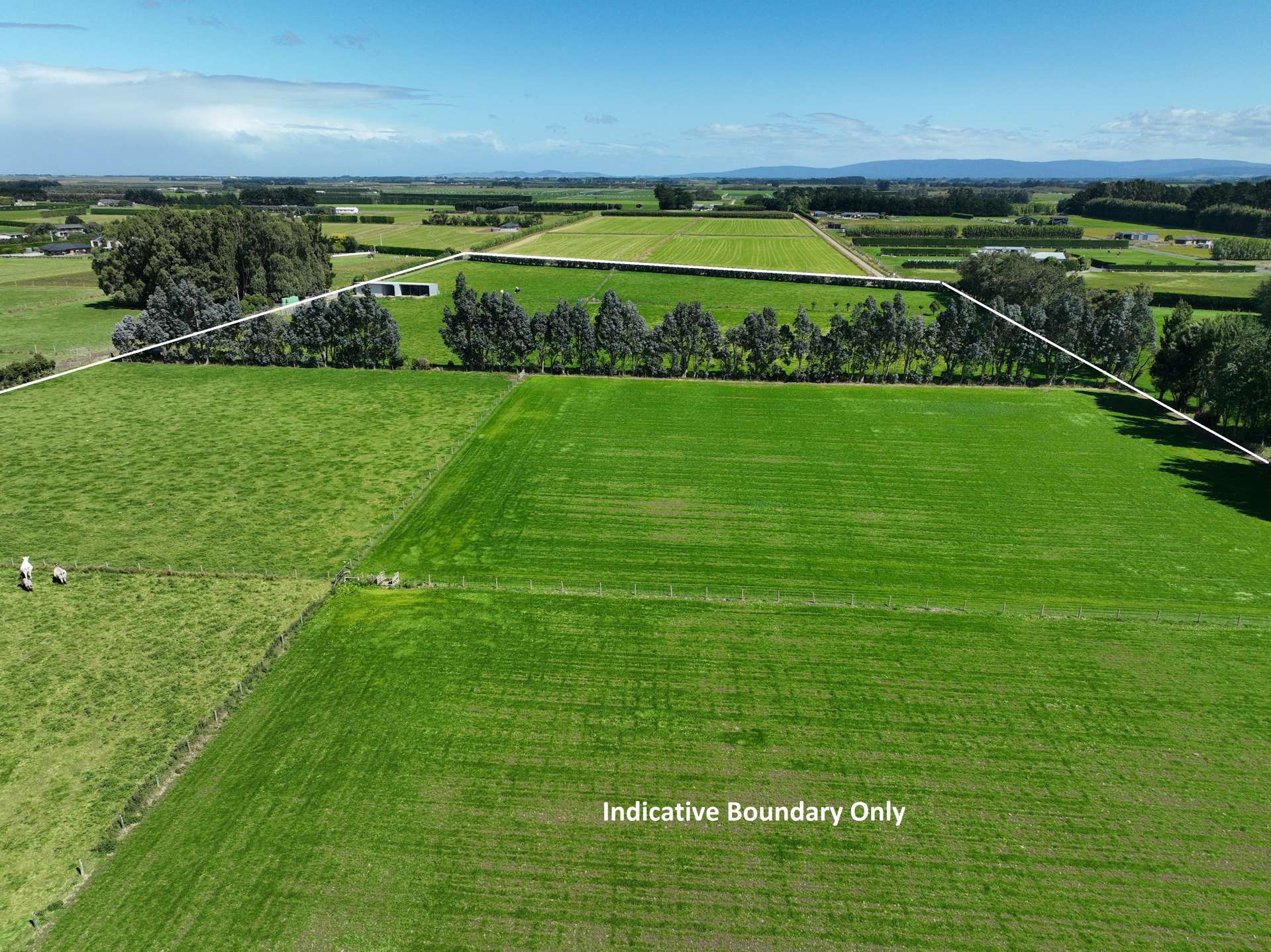 693 Ryal Bush Wallacetown Road Wallacetown Southland Rural