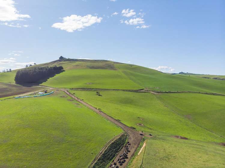 187 Mcnally Road Enfield and Surrounds_17