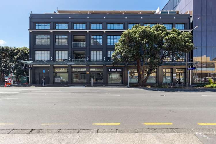 Ground/181 Wakefield Street Te Aro_0