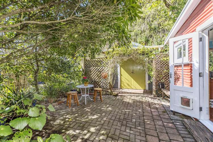 77 Holloway Road Aro Valley_17