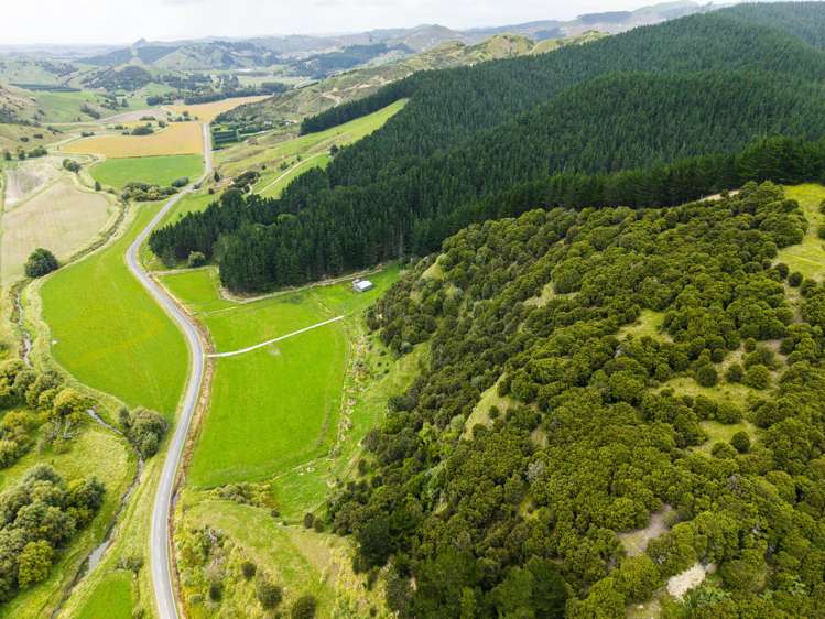 1247 Wharekopae Road Ngatapa_17