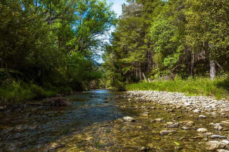 Lot 1 Nydia Bay Marlborough Sounds_17