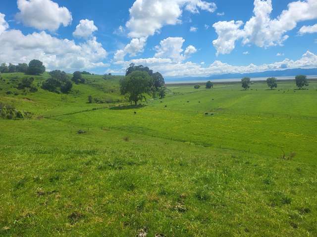 722B Back Miranda Road Kaiaua_3