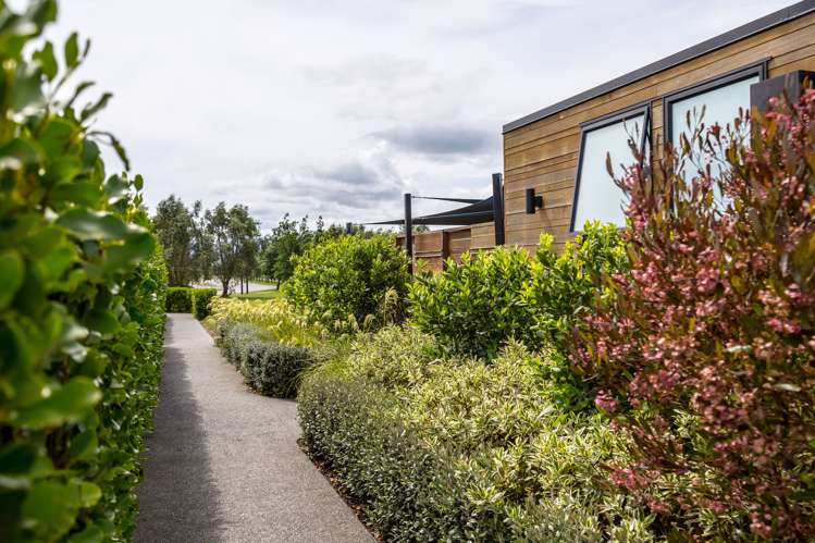 5 Syrah Lane Martinborough_11