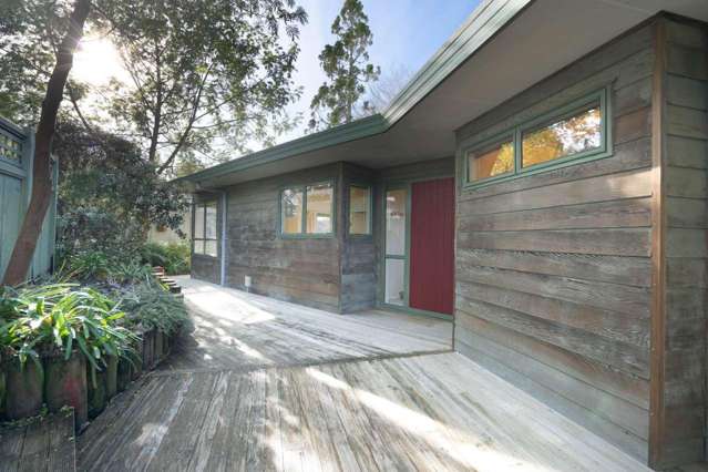 3 Kentia Lane Whau Valley_1