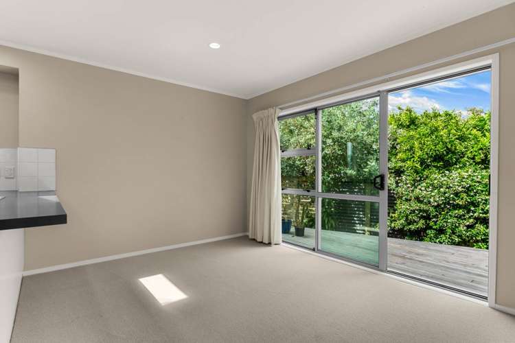 65 Moir Street Mangawhai_5